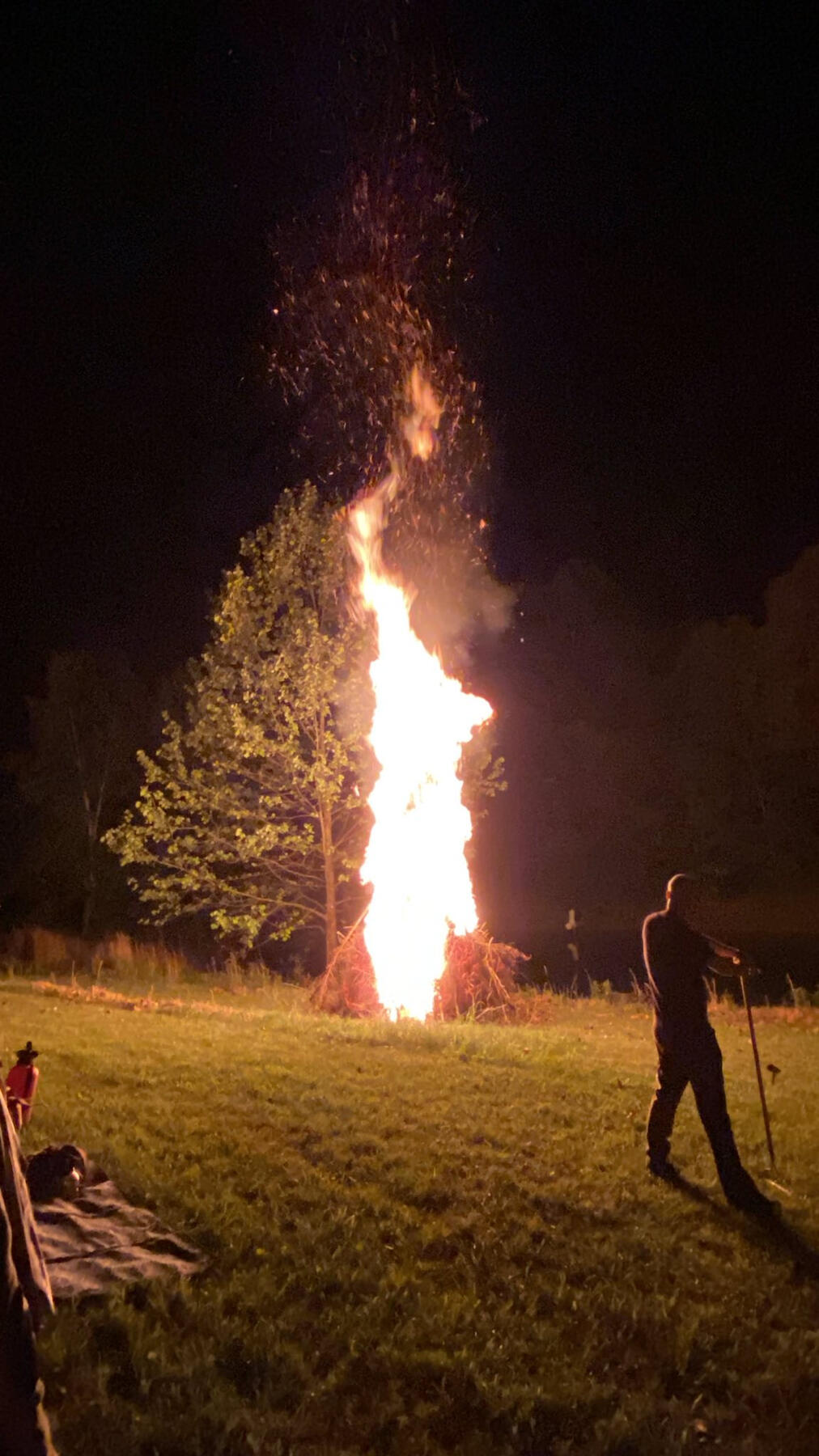 The effigy fire from Xmas Burn 2024 is centered in a grassy field and looks to be the same height as the sycamore tree behind it. A fire safety volunteer stands in the foreground leaning on a rake.